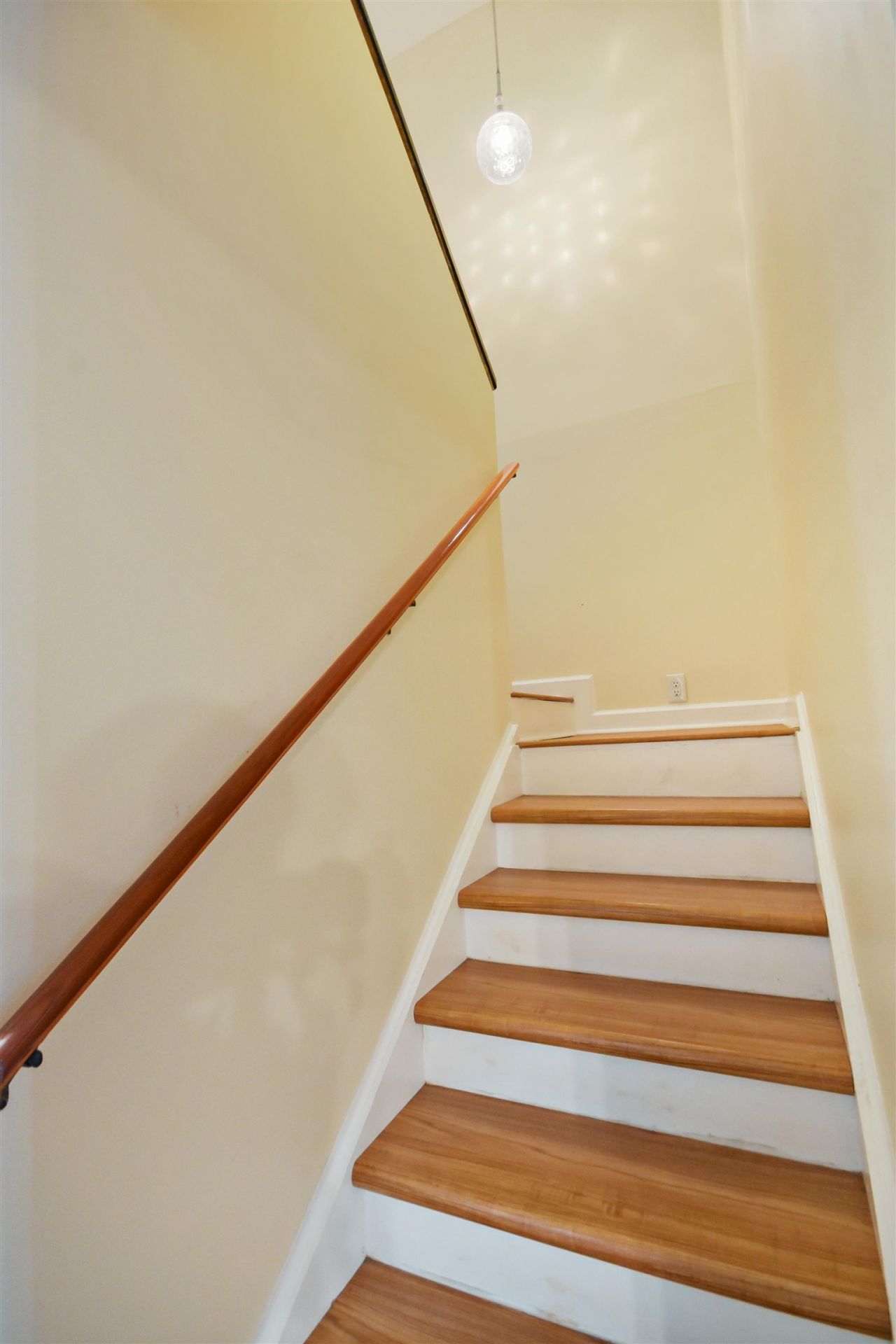 800 Egret Circle  Photo 22