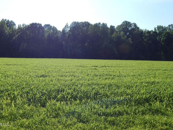 500 Cr 247 Country Road, Bruce, MS 38915