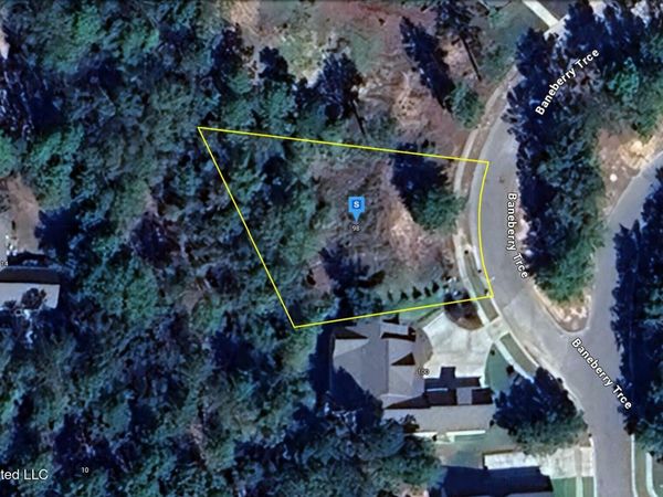 98 Baneberry Trace, Hattiesburg, MS 39402
