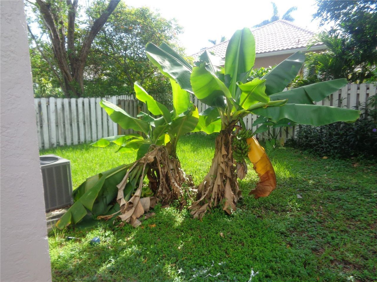 10939 W Broward Boulevard, Unit 10939, Plantation, FL 33324 Photo