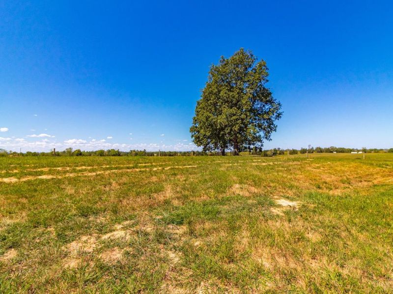2991 Cedar Mills Road, Blue Creek, OH 45616 Photo 22