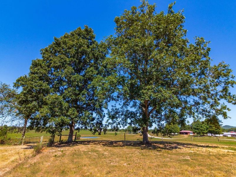2991 Cedar Mills Road, Blue Creek, OH 45616 Photo 23