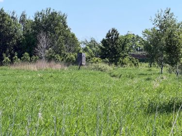 16698 130th Street , Foreston, MN 56330