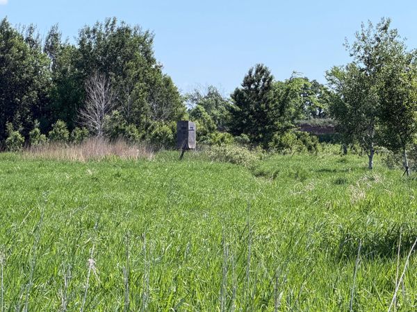 16698 130th Street , Foreston, MN 56330