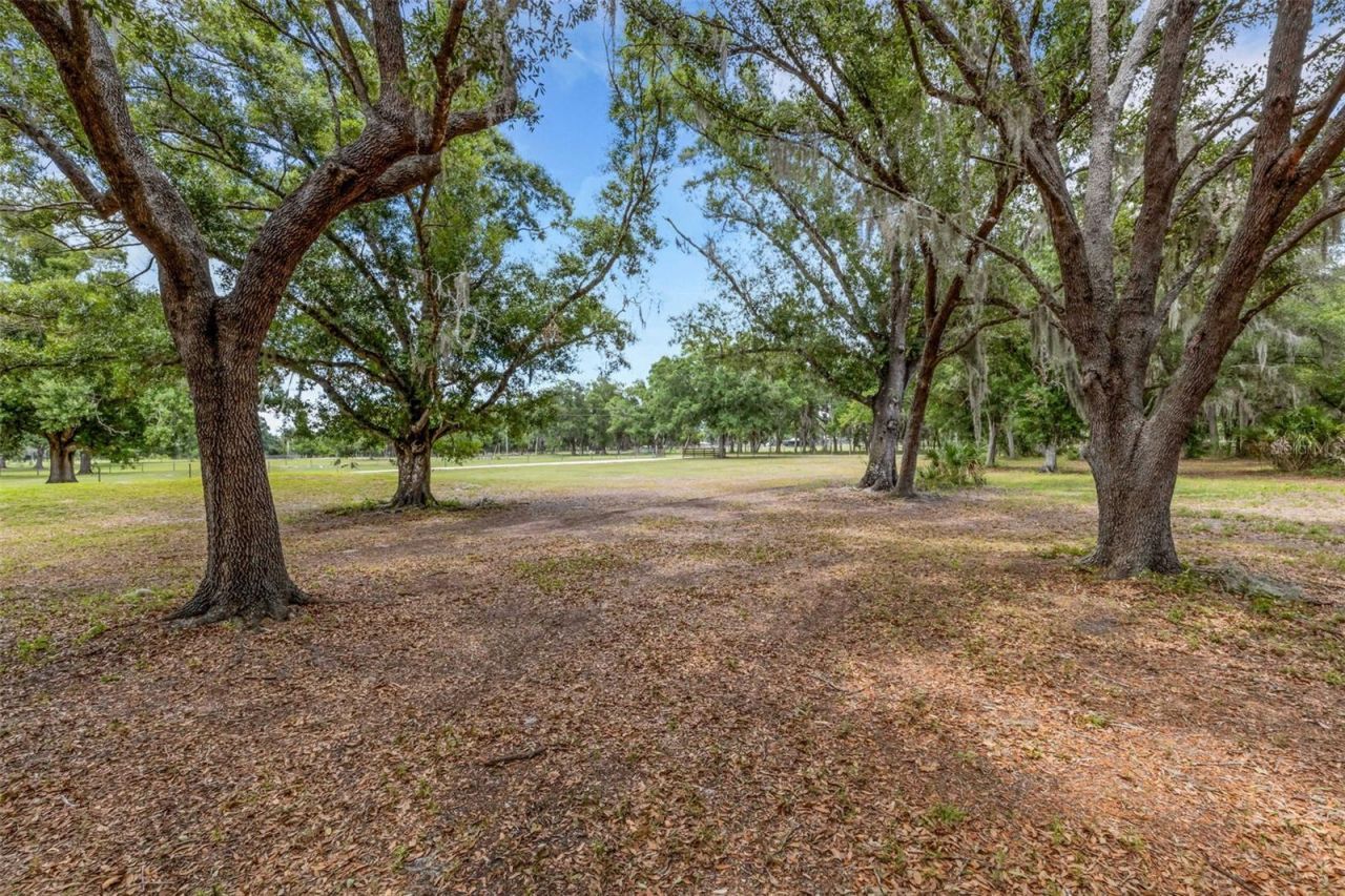 14960 Gibson Road, Myakka City, FL 34251 Photo