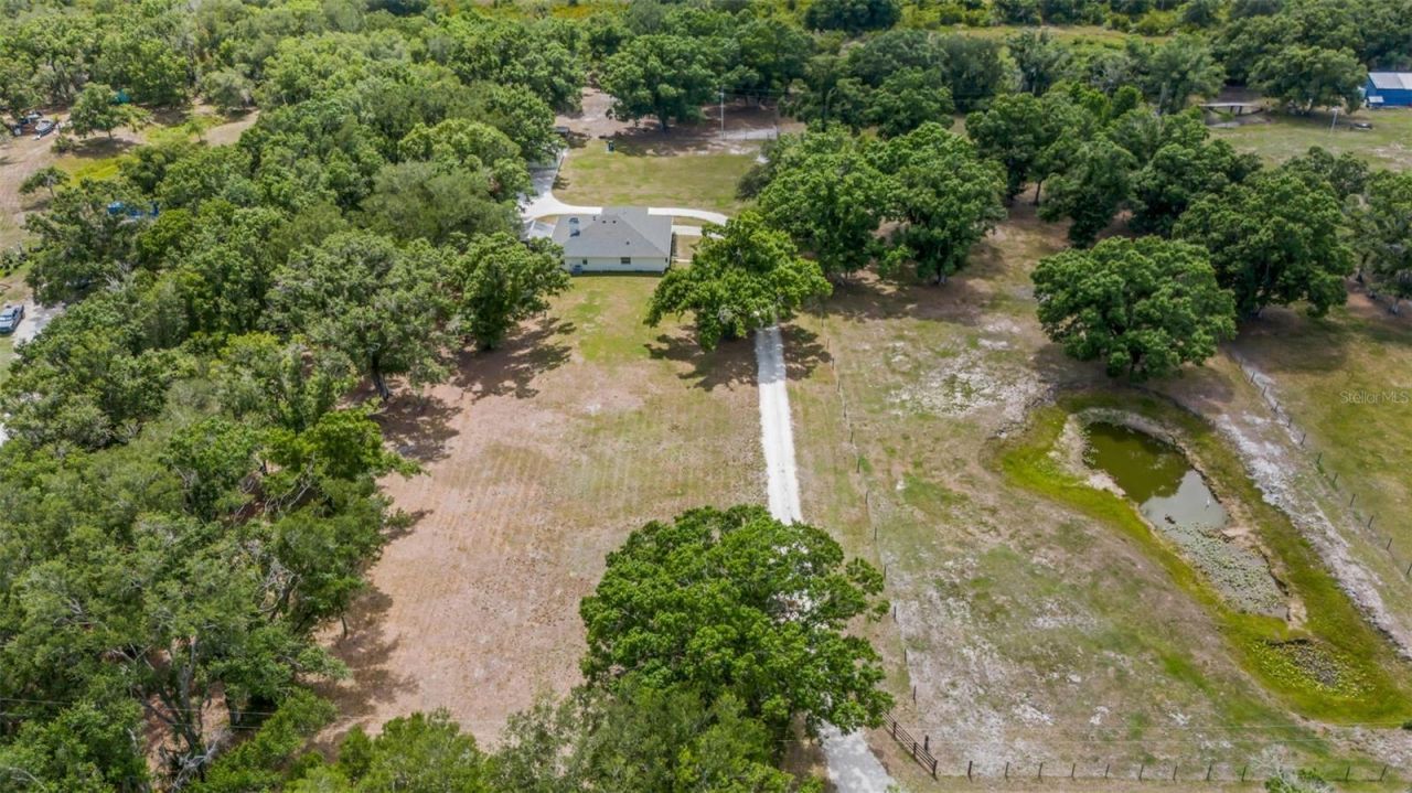 14960 Gibson Road, Myakka City, FL 34251 Photo