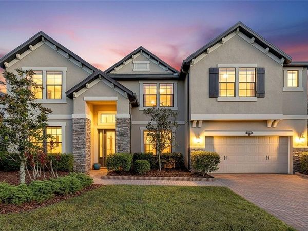 10701 LAUREL VISTA WAY , TAMPA, FL 33647