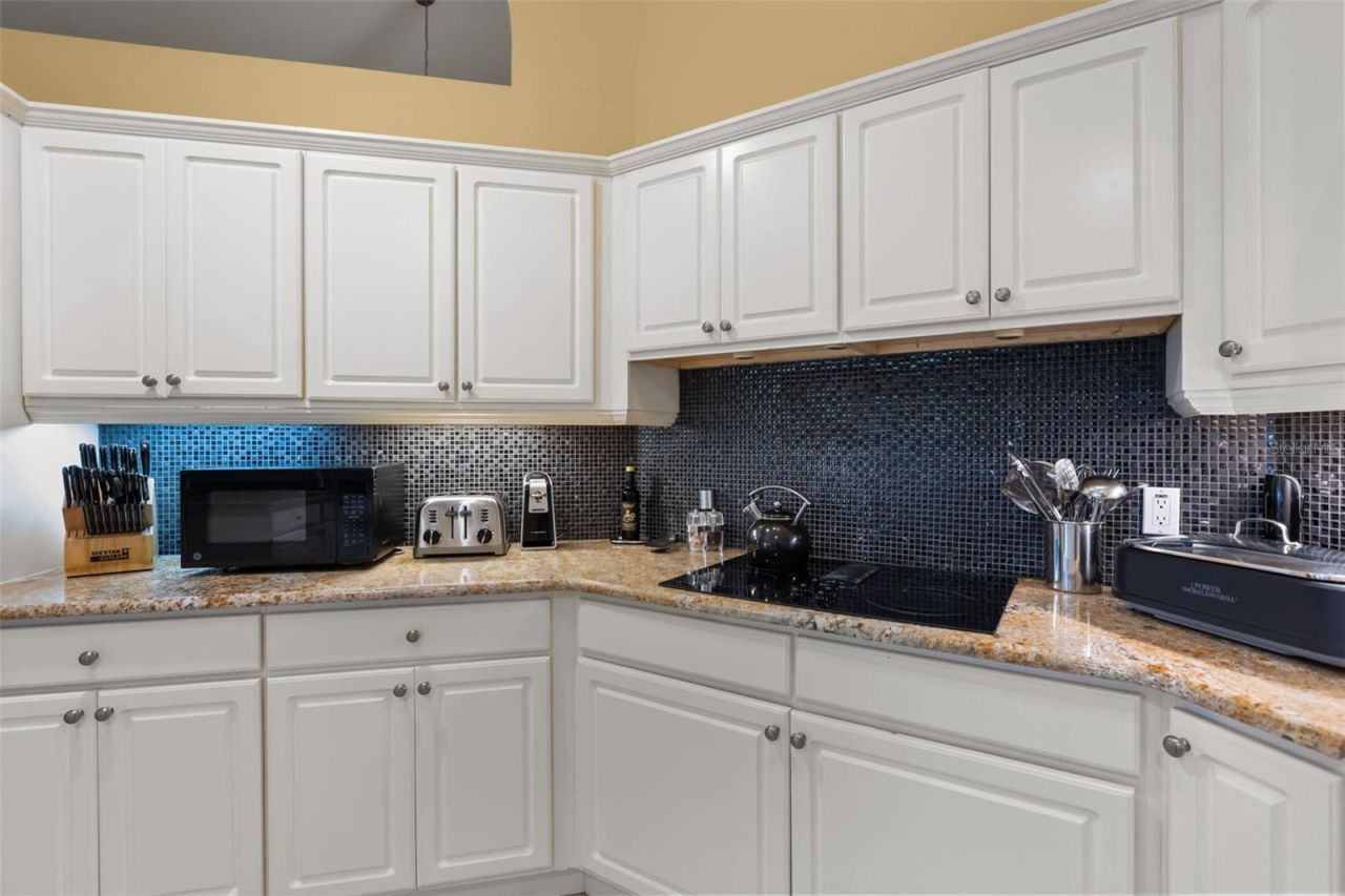 1521 Edgewater Drive , Mount Dora, FL 32757 Photo