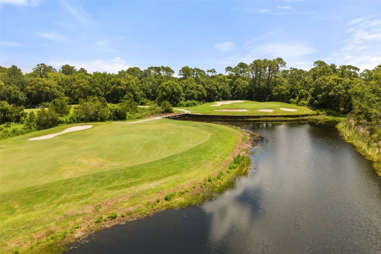 1521 Edgewater Drive , Mount Dora, FL 32757 Photo