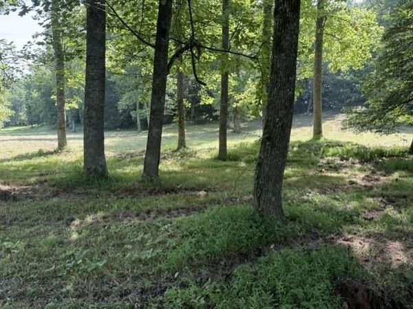 0 Lot 6 Clear Creek Preserve Way , Ellijay, GA 30536