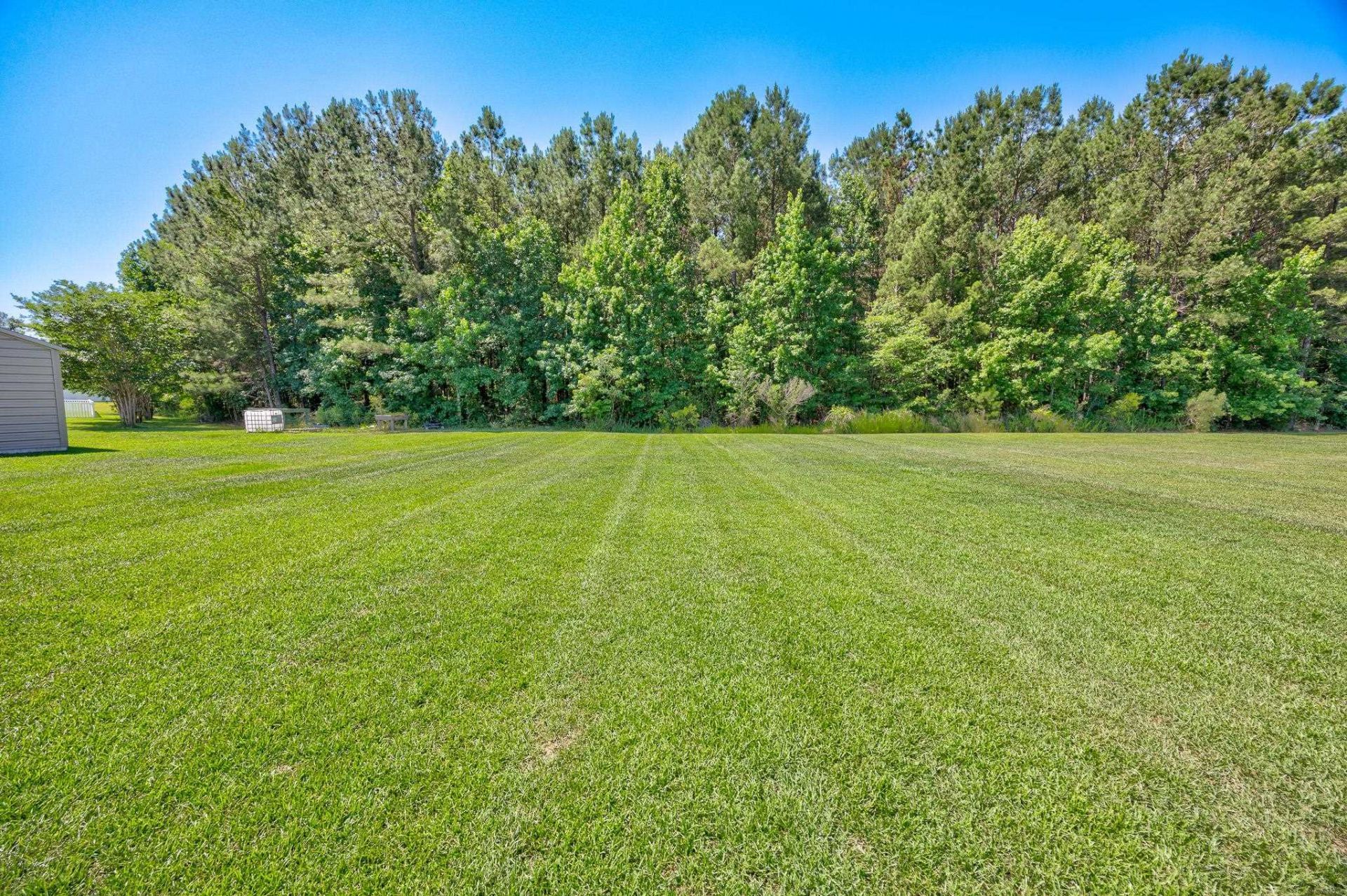 312 Carolina Springs Ct. Photo 32