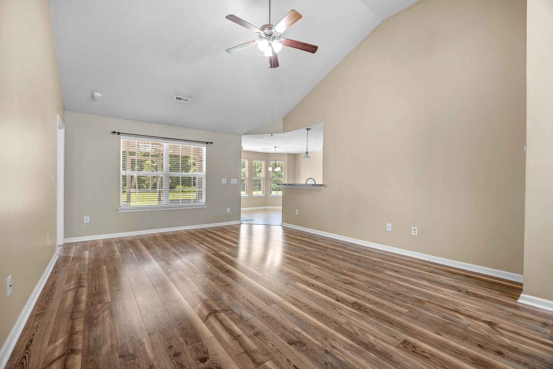 312 Carolina Springs Ct. Photo 7