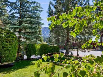 3381 Marlette Circle, South Lake Tahoe, CA 96150 Photo