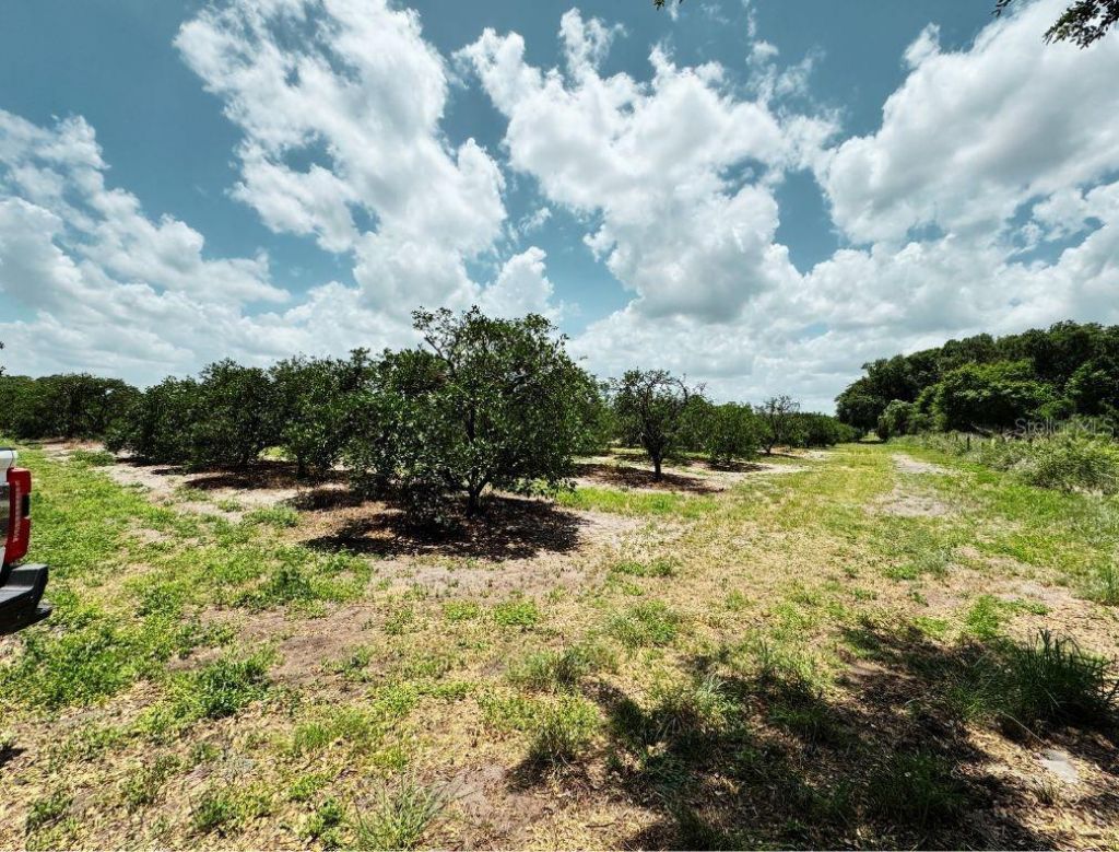 115 Heinley Road , Lake Placid, FL 33852 Photo
