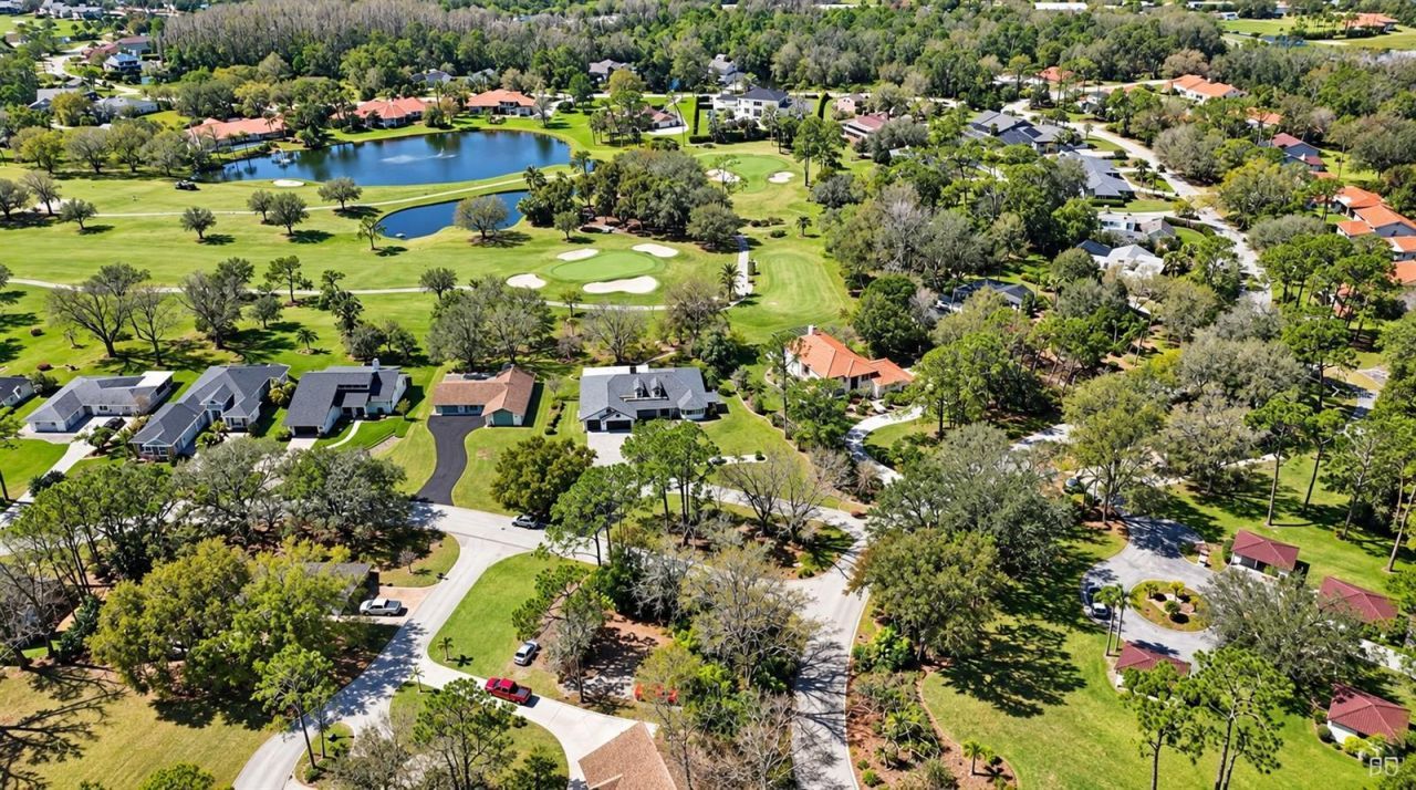 5331 Saddlebrook Way, Wesley Chapel, FL 33543 Photo