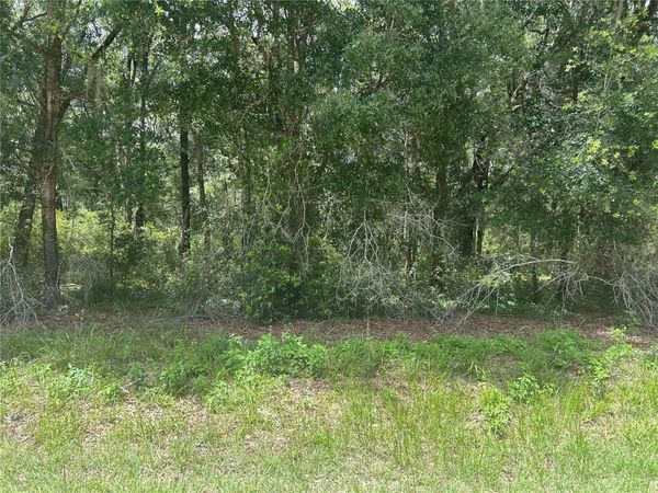 SW 111 LANE , DUNNELLON, FL 34432