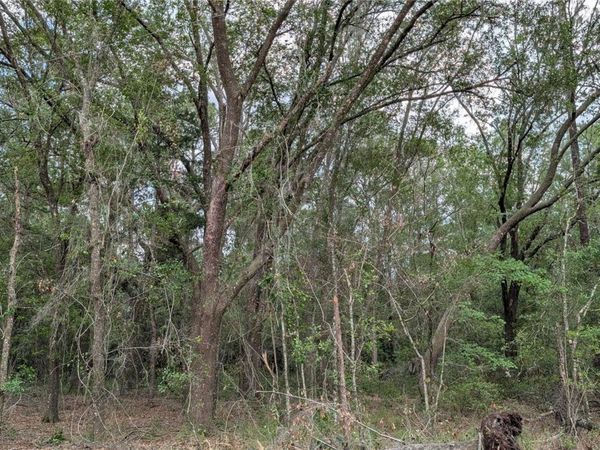 TBD NE 108TH PLACE , WALDO, FL 32694