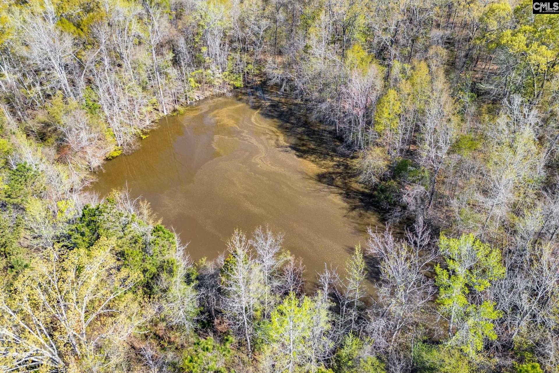 3941 Holley Ferry Road  Photo 10