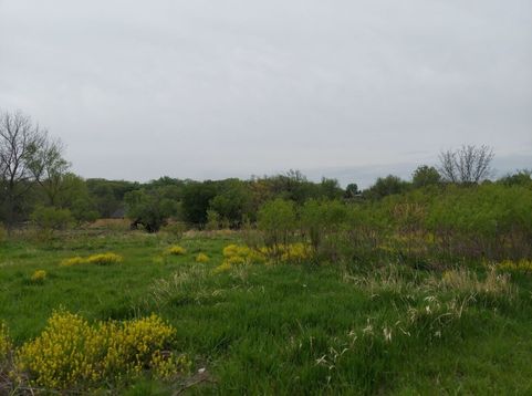 Main Photo