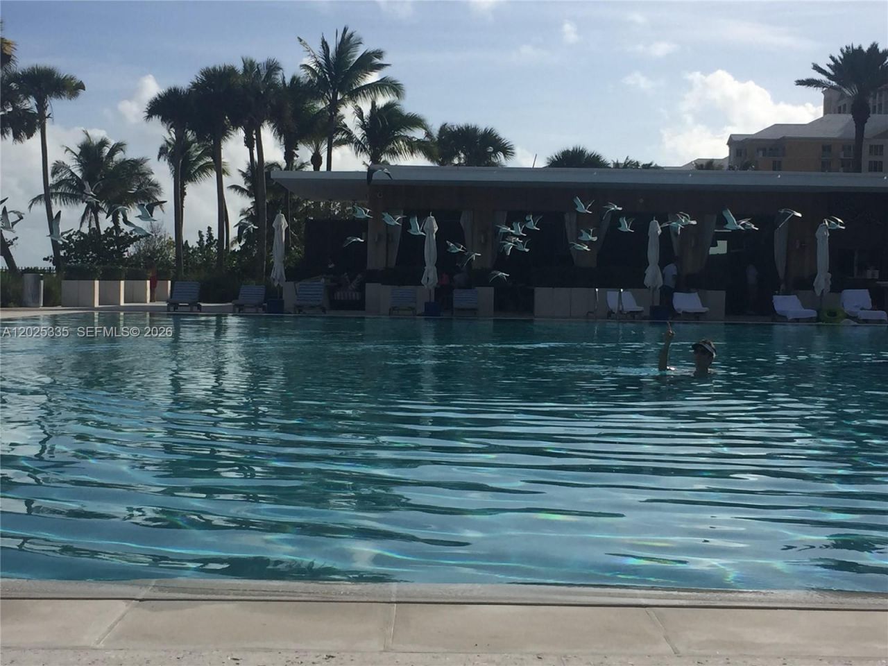 350 Ocean Dr , Unit 304N, Key Biscayne, FL 33149 Photo