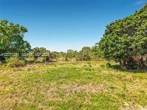 Lake Trafford Rd , Immokalee, FL 34142 Photo