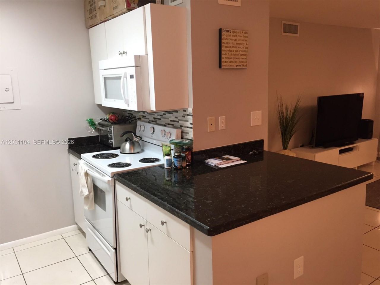 10738 N Kendall Dr , Unit K-20, Miami, FL 33176 Photo