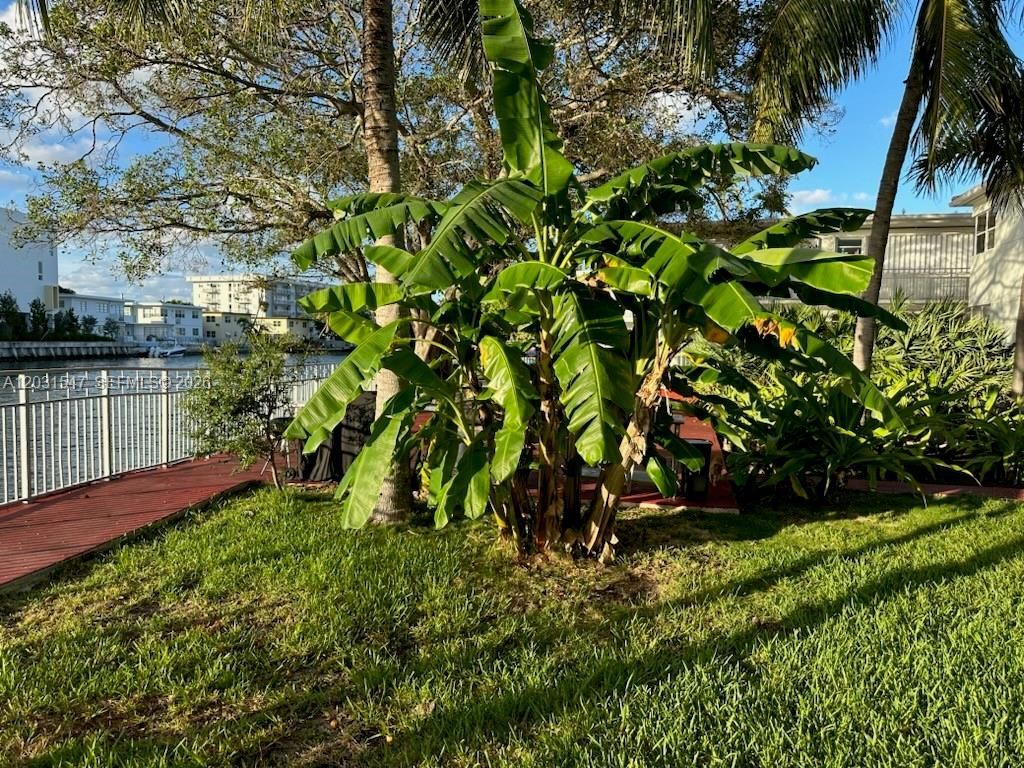 1275 Marseille Dr , Unit 40, Miami Beach, FL 33141 Photo