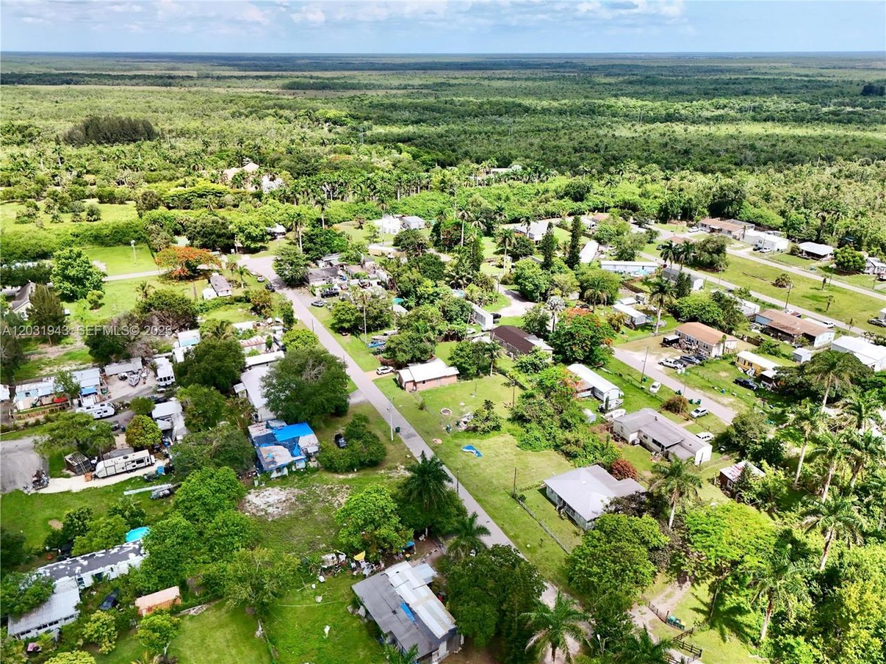 238 Old Train Ln , Copeland, FL 34137 Photo