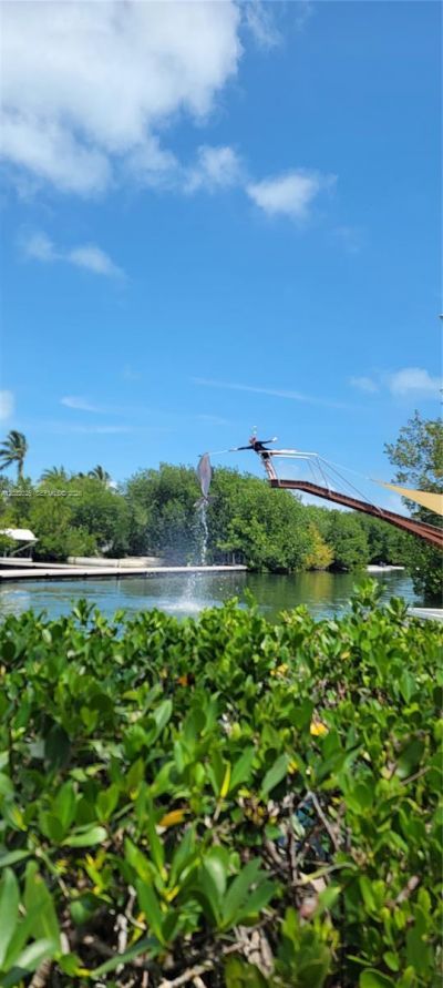 51 W Plaza Del Lago , Unit ., Islamorada, FL 33036 Photo