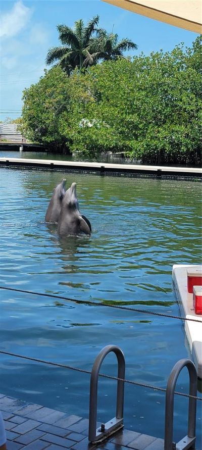 51 W Plaza Del Lago , Unit ., Islamorada, FL 33036 Photo