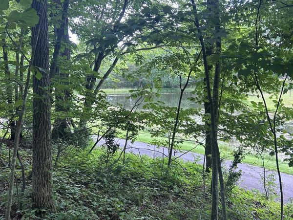 26 Rolling Green Court, Fairfield Glade, TN 38558