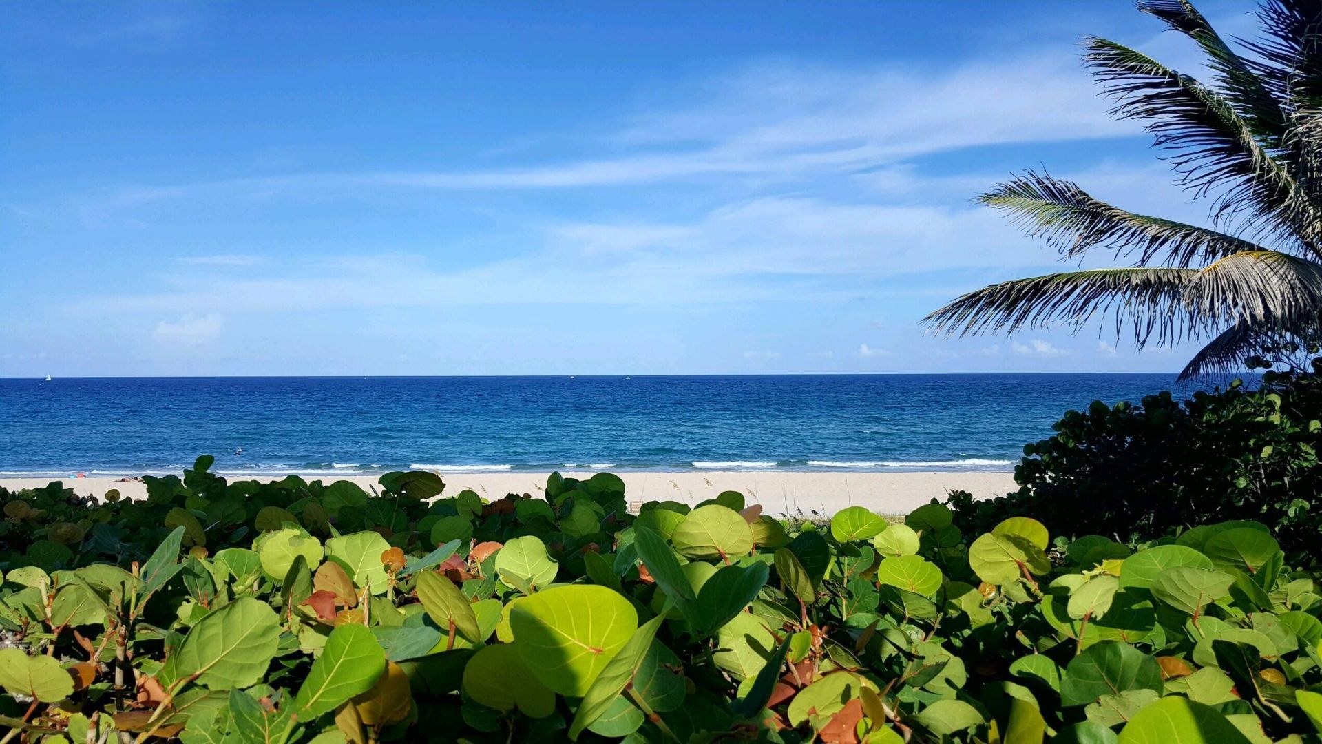 640 Snug Harbor Drive, Unit F3, Boynton Beach, FL 33435 Photo