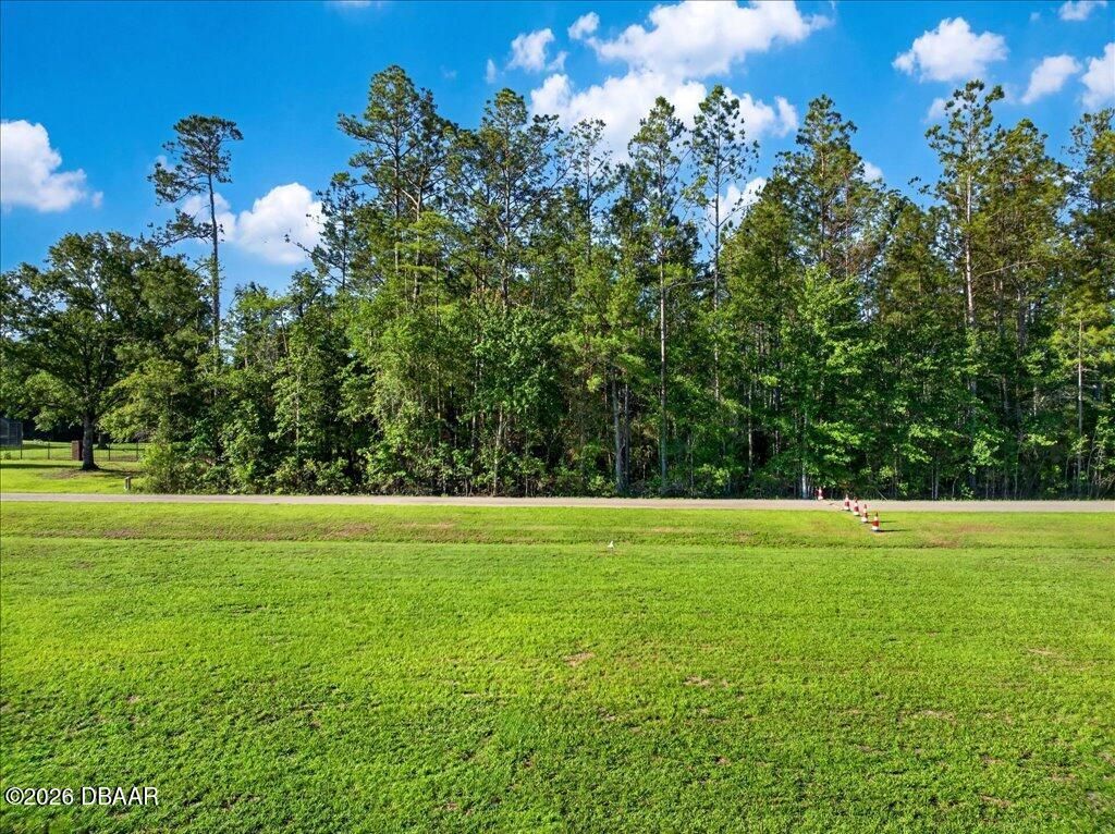10790 S Runway Circle, Glen Saint Mary, FL 32040 Photo