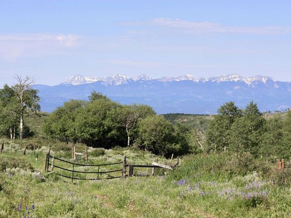 12951 MS Road, Glade Park, CO 81522