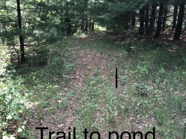 COUNTY RD E, Neshkoro, WI 54960