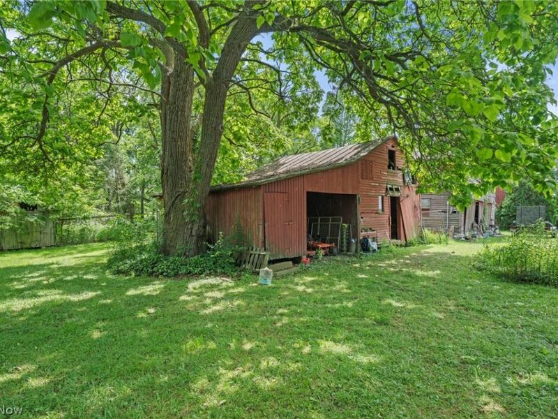 38599 Norwalk Road, Litchfield, OH 44253 Photo 20