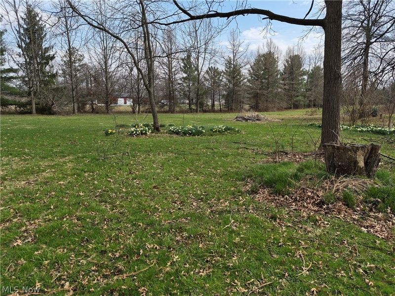 38599 Norwalk Road, Litchfield, OH 44253 Photo 3