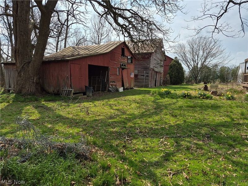 38599 Norwalk Road, Litchfield, OH 44253 Photo 5