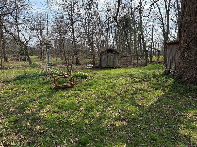 38599 Norwalk Road, Litchfield, OH 44253 Photo 8