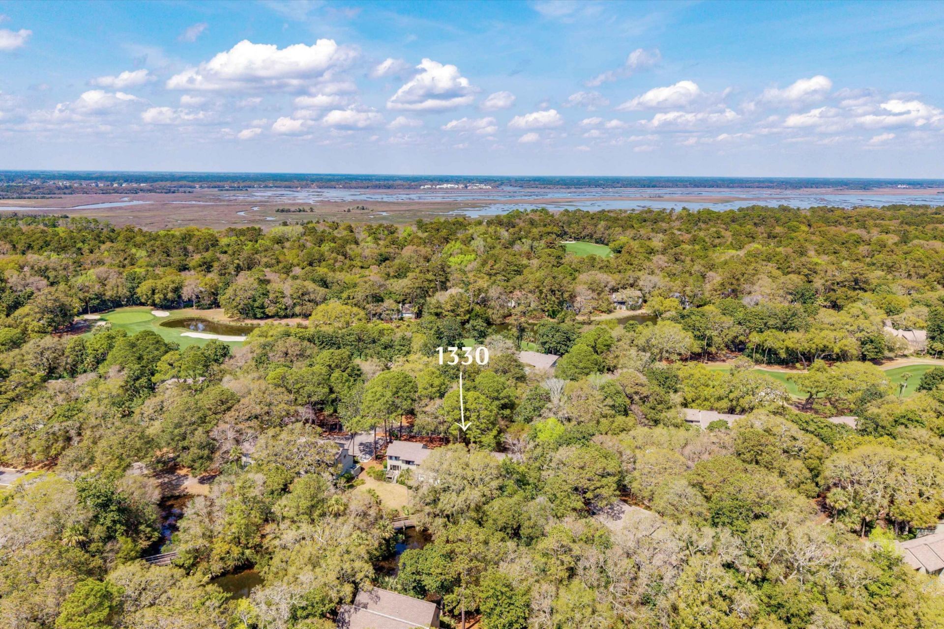1330 Sea Elder Drive Photo 37