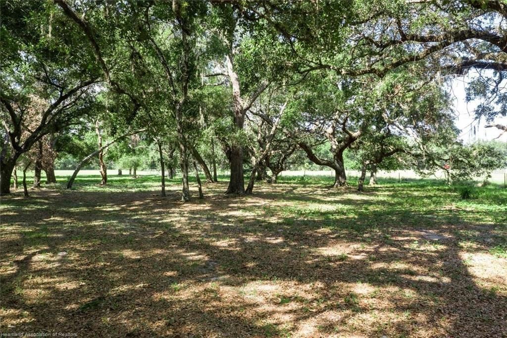 203 Boyer Street , Venus, FL 33960 Photo