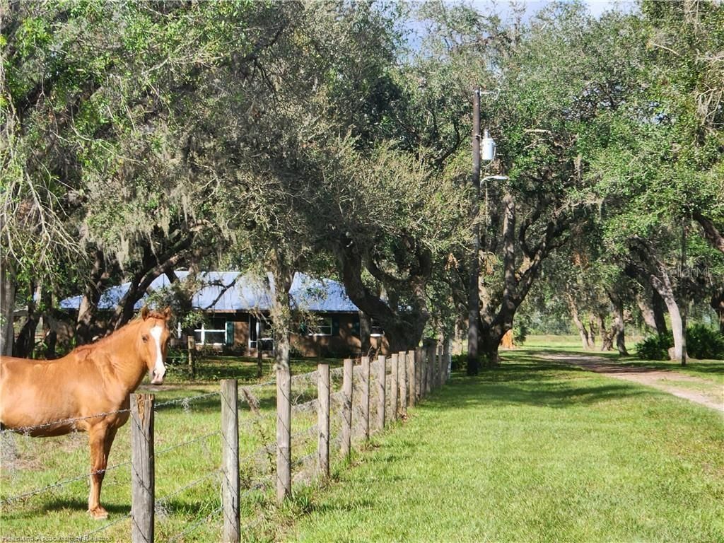 203 Boyer Street , Venus, FL 33960 Photo