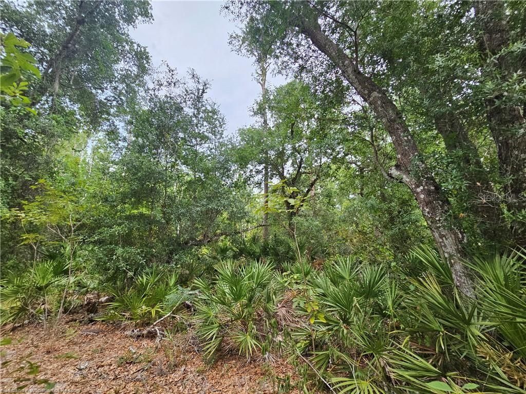 12000 Us-98 , Sebring, FL 33876 Photo