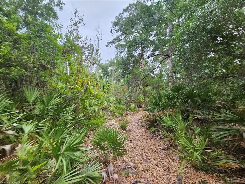 12000 Us-98 , Sebring, FL 33876 Photo