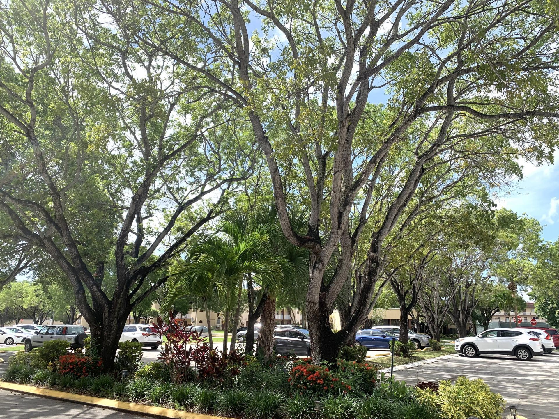 2801 N Pine Island Road, Unit 110, Sunrise, FL 33322 Photo