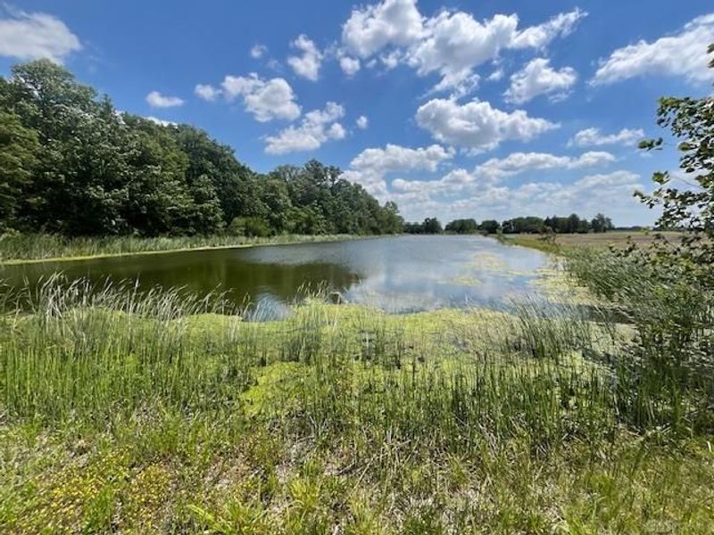 11555 Arlington Road, Brookville, OH 45309 Photo 18