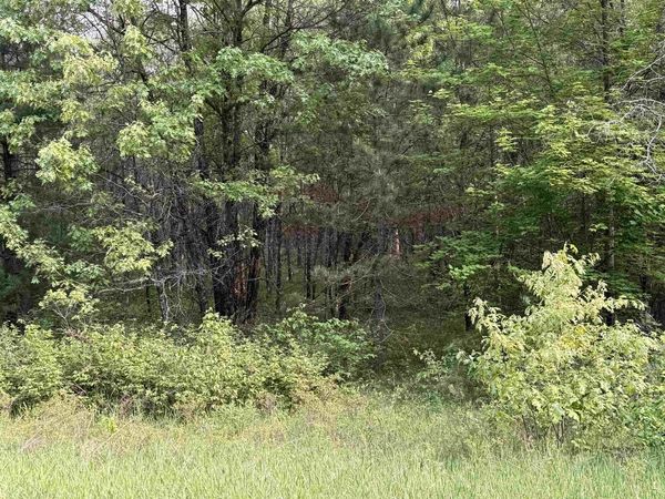 W1926 GREAT BEAR ROAD, Keshena, WI 54135