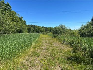 Warner Hill Road , Wales Center, NY 14169