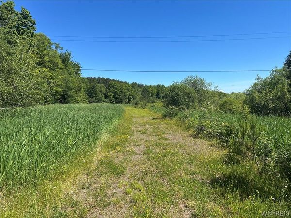 Warner Hill Road , Wales Center, NY 14169