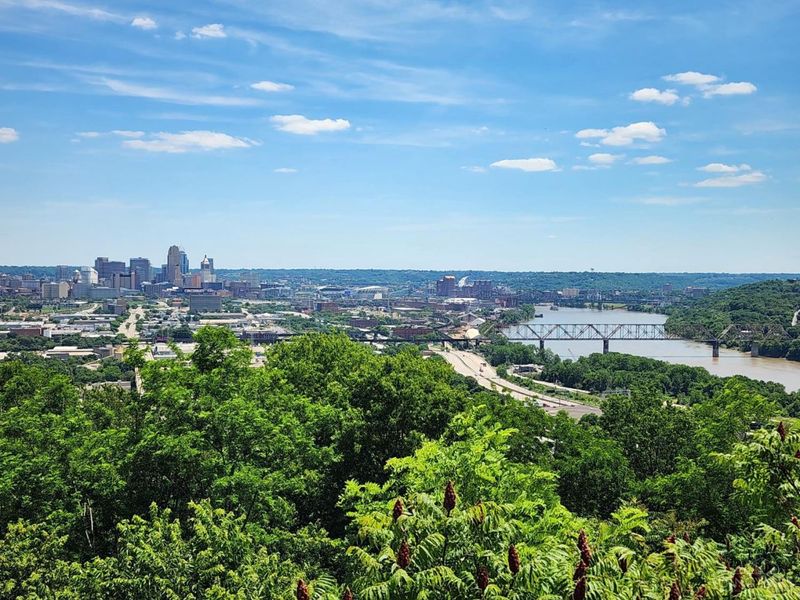 810 Matson Place, Unit 807, Cincinnati, OH 45204 Photo 3